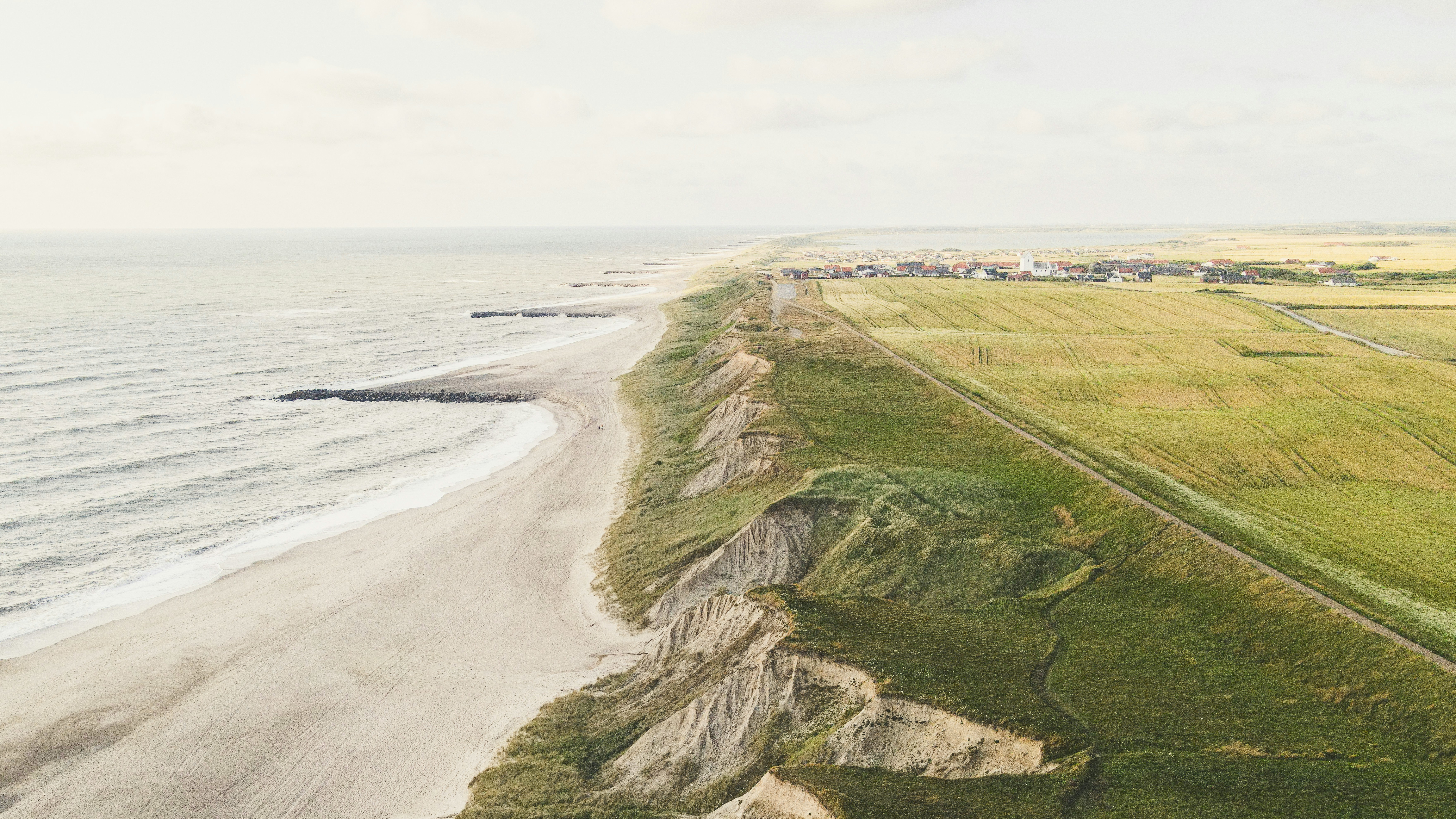 alex shute L1wZJ tVRsQ unsplash