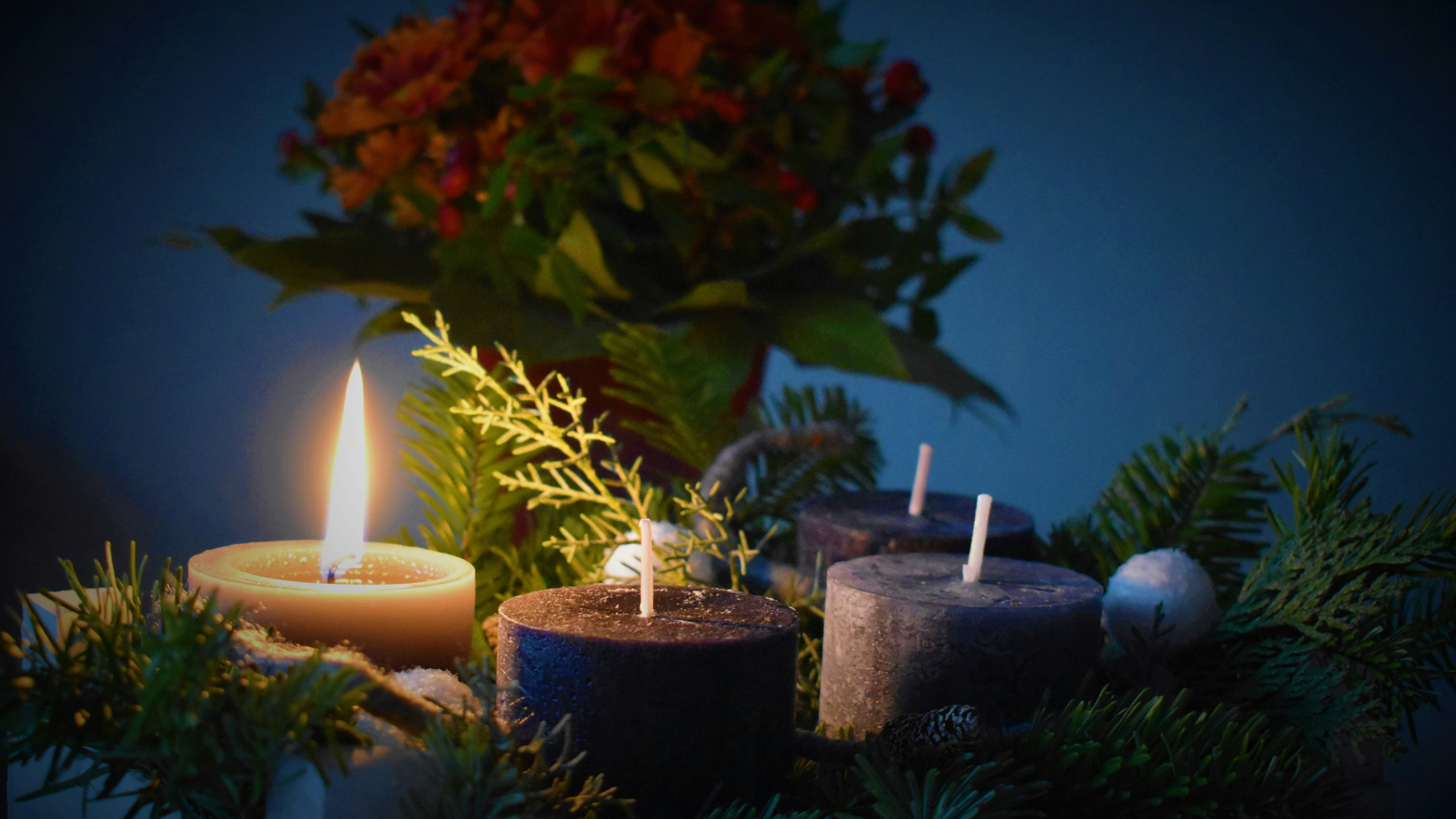 Zimtstangen, getrocknete Orangenscheiben, rote Beeren und Sterne aus Holzrinde auf weißem Engelshaar.